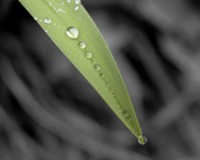Enviroment consulting