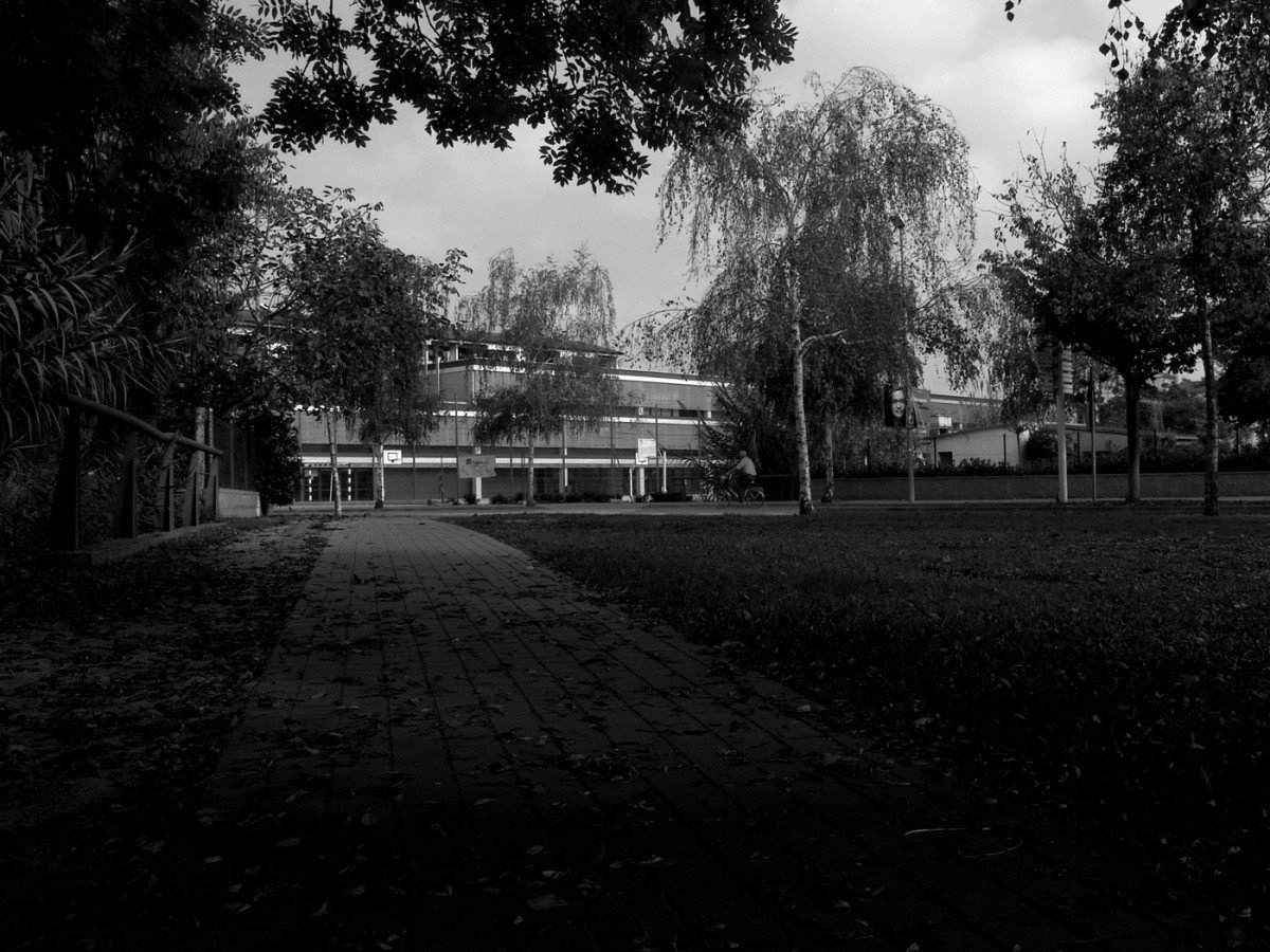 CEIP La Draga