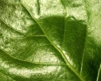 LEED Certification