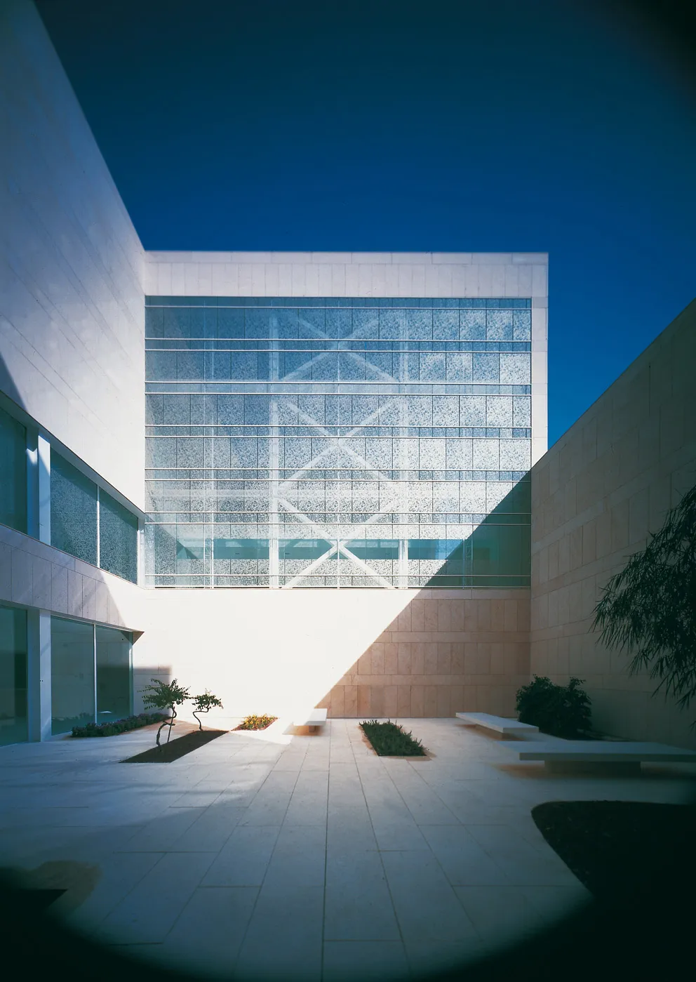 Pabellón docente "Virgen de la Arrixaca"