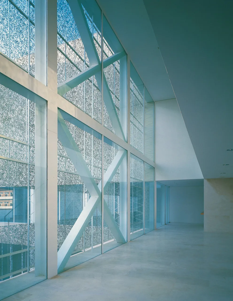 Pabellón docente "Virgen de la Arrixaca"