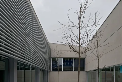 Centro de educación primaria Zabalgana